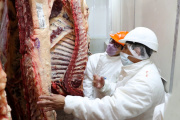 El Gobierno de Argentina actualiza el régimen para los cupos de exportación de carnes