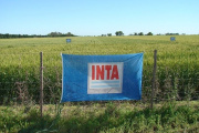 Advierten que se viene "un brutal ajuste" en el INTA