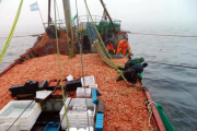 Capitanes de pesca reclaman participar de las ganancias por el procesamiento de langostino a bordo