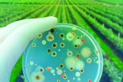 El mercado de los bioinsumos proyecta un crecimiento acelerado y alcanzará niveles históricos en la región