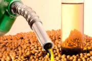 El Gobierno fijó el nuevo precio del biodiésel para la mezcla obligatoria con gasoil