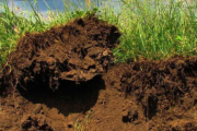 El INTA difundió pautas clave para frenar la erosión hídrica en las zonas semiáridas