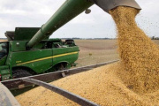 Acsoja advierte que las retenciones frenan la capacidad productiva de la oleaginosa argentina