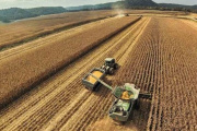 La cadena de la soja aportará exportaciones por más de 21.000 millones de dólares