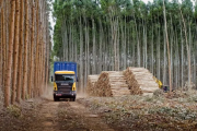 La cadena agropecuaria coincide en la necesidad de tratar una nueva Ley de Semillas