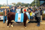 Expo Rural 2026: coronaron a los campeones de razas británicas y analizaron el sector ovino