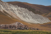 Proponen elevar al 25% el límite a la tenencia de tierras rurales por parte de extranjeros