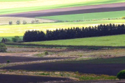 Federación Agraria advierte que la reforma de la Ley de Tierras perjudica a pequeños productores