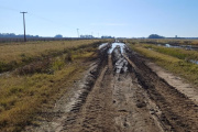 El cordón hortícola de La Plata le reclama a Alak por tasas, inseguridad y falta de obras