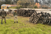 Millonario robo en un campo de Balcarce