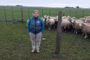 Animales salvajes acechan a los campos de Necochea y provocan grandes pérdidas