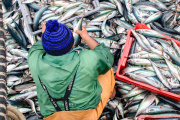El Gobierno Nacional superó los $5.381 millones cobrados en sanciones contra la pesca ilegal
