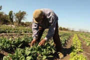 Junín se prepara para recibir al 2° Congreso Provincial de Agroecología