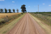 El Colegio de Ingenieros bonaerense lanzó un plan para ordenar los caminos rurales