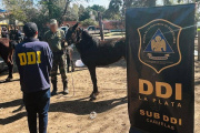 Crece el delito rural en la provincia de Buenos Aires: alertan por el robo de caballos