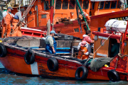 La pesca de Mar del Plata enfrenta una crisis de costos y reclama medidas urgentes