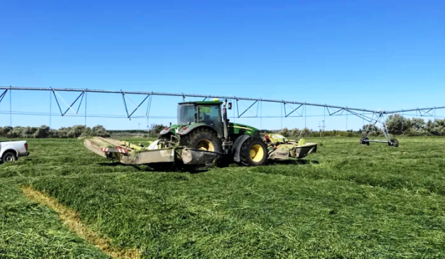 Especialistas del INTA prevén un escenario de alta producción impulsado por El Niño