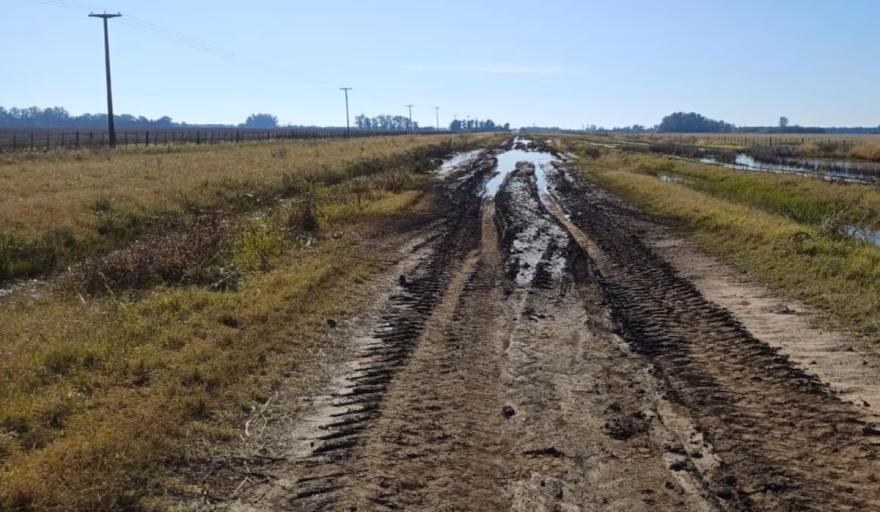 El cordón hortícola de La Plata le reclama a Alak por tasas, inseguridad y falta de obras
